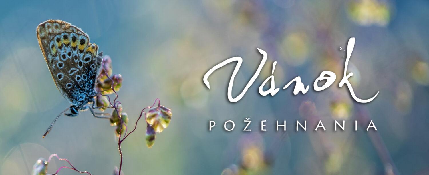 Vánok požehnania: kniha o tom, ako Boh požehnáva Slovensko
