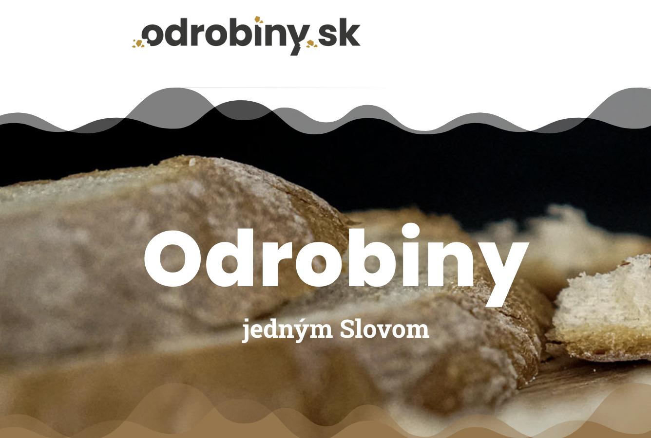 Nový projekt Odrobiny – jedným Slovom: Dotyk Božej lásky pre každého