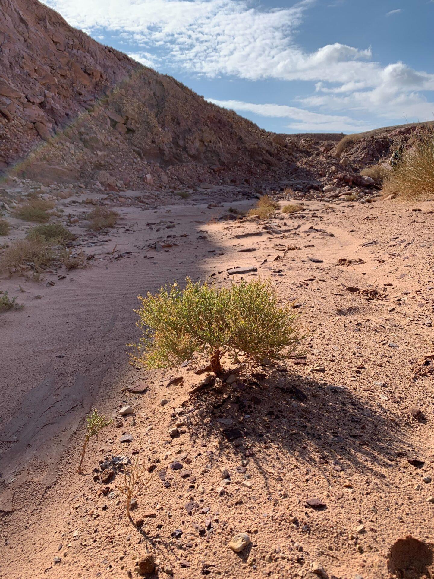 Od meditácie k obráteniu