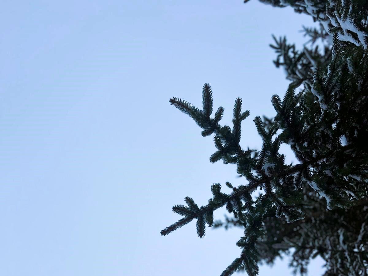 Rozhodnúť sa pre prítomnosť je to najradikálnejšie, čo môžeme urobiť