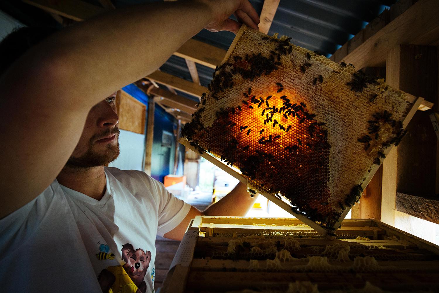 Včelár Peter Jánošík: Svet bez včiel by bol svetom bez nás