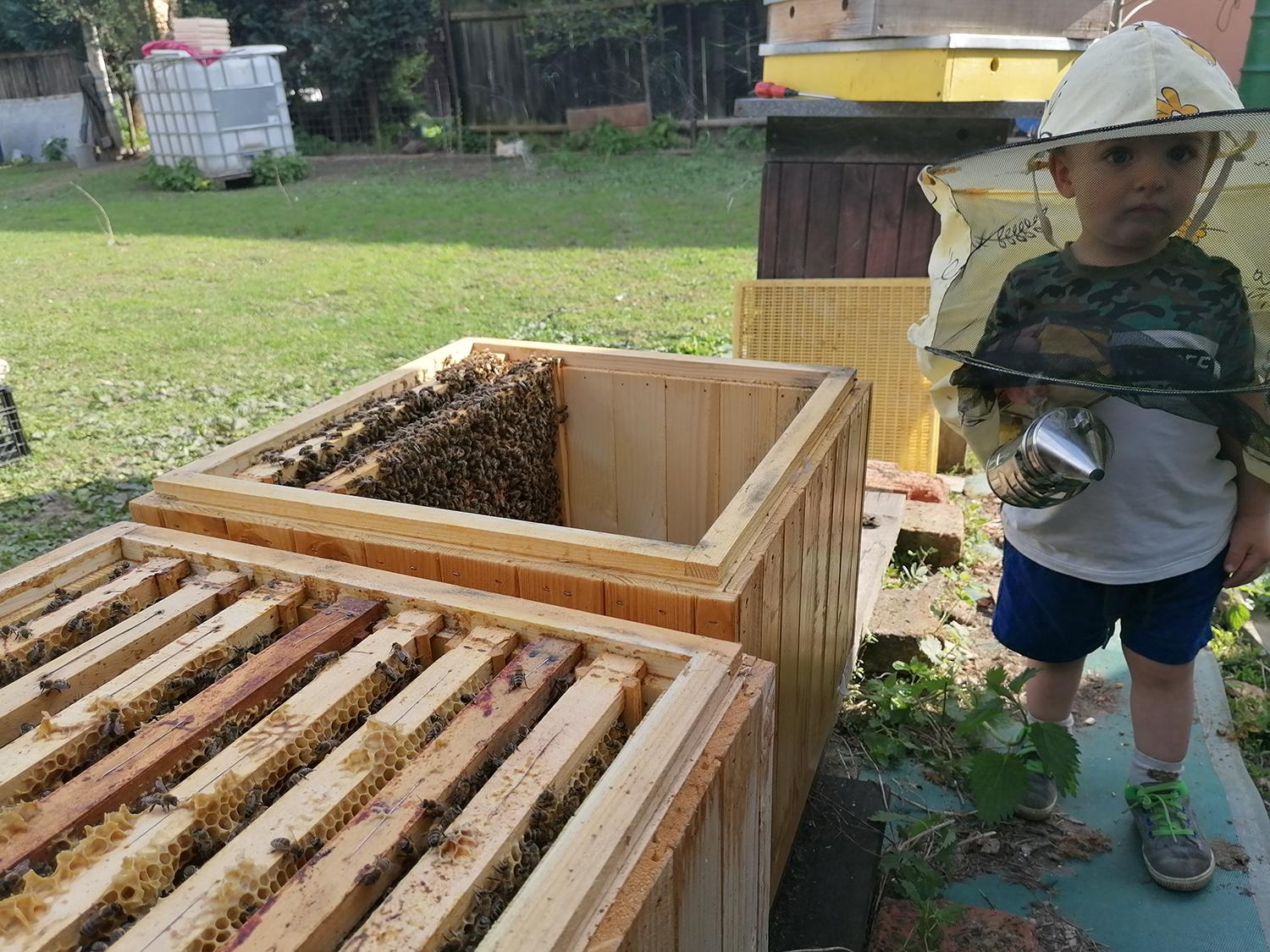 Včelár Peter Jánošík: Svet bez včiel by bol svetom bez nás