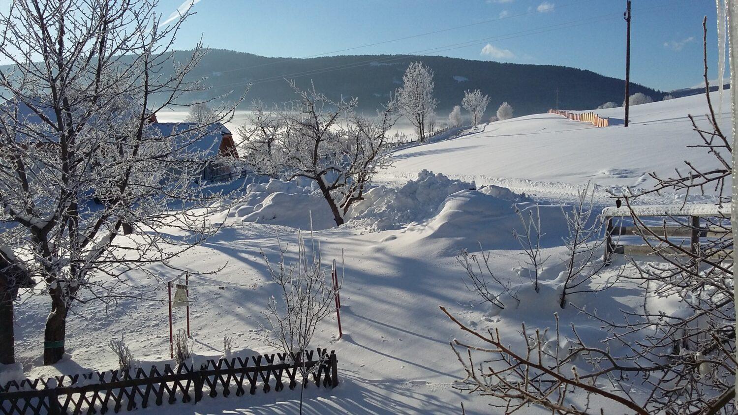 Lekárka Daniela Hrtúsová: Istotu nenachádzame vonku, potrebujeme ju mať v svojej duši