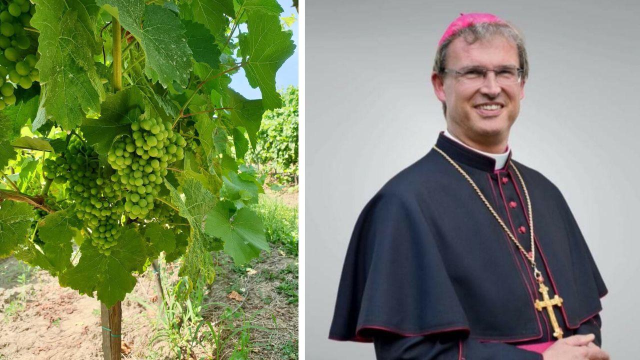 Biskup František Trstenský: Víno na Eucharistiu musí byť prírodné a nepokazené